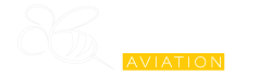 API Aviation Consulting & Services